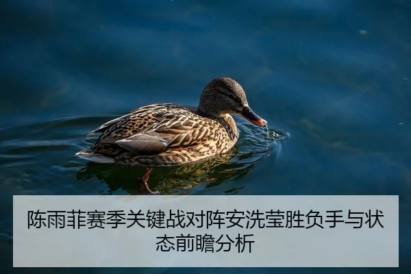 陈雨菲赛季关键战对阵安洗莹胜负手与状态前瞻分析